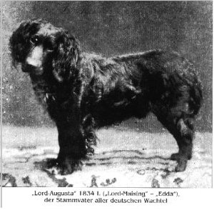 lord augusta