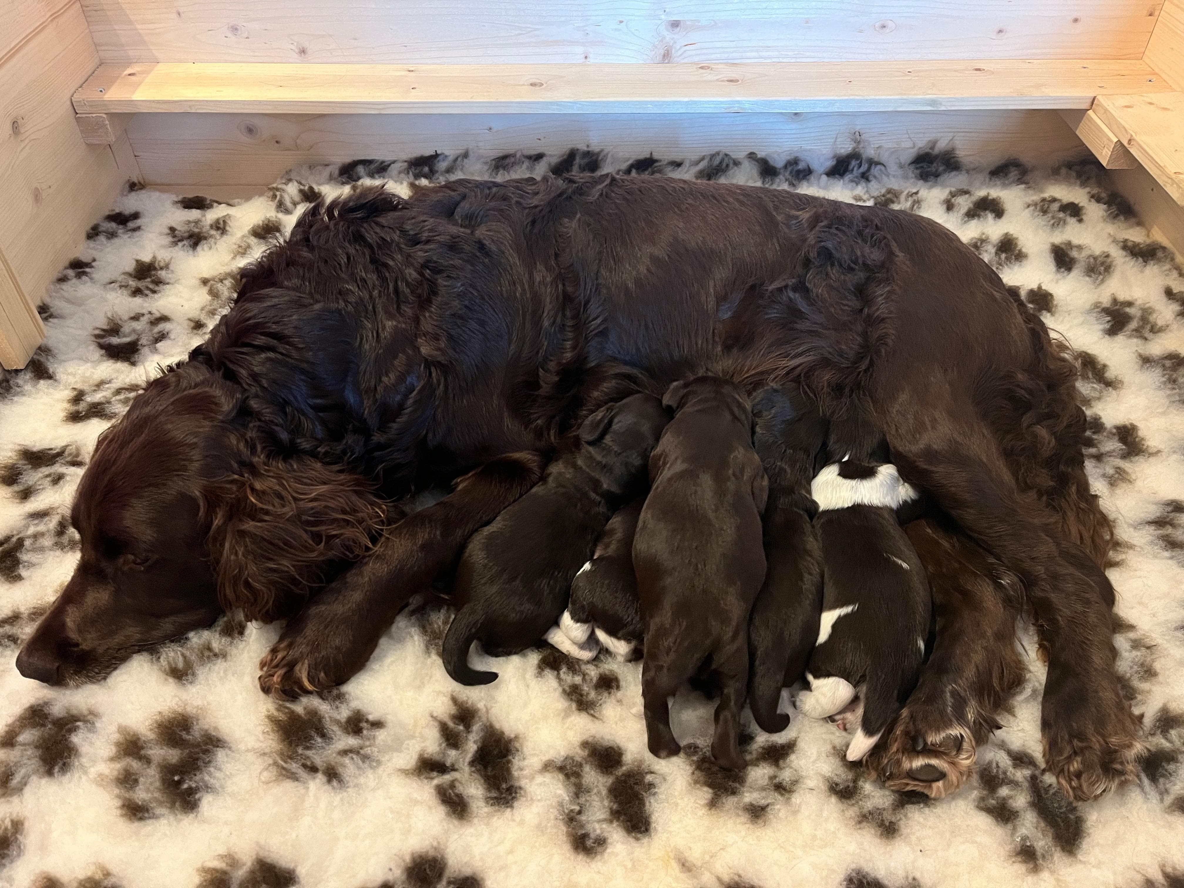 Beerengraben  IMG 20240702 WA0008