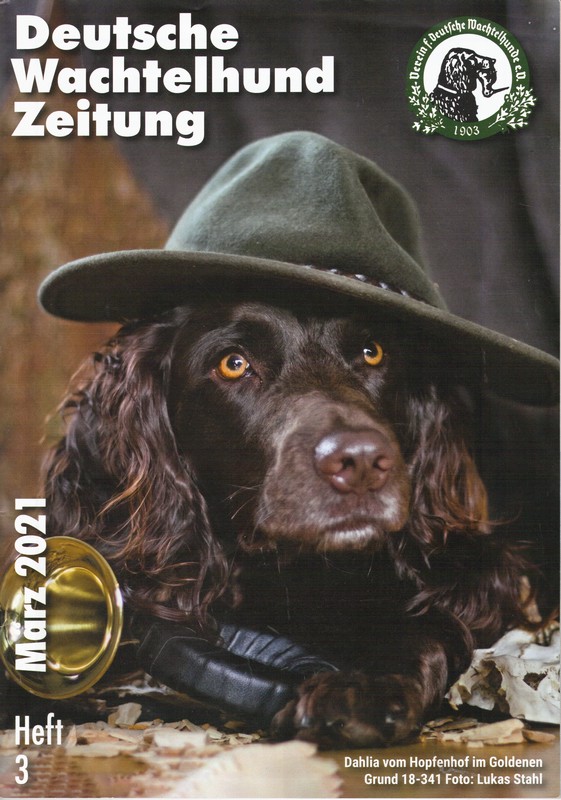 2021 03 DWZ