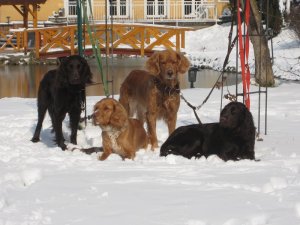 2013 Yaska, Wendy, Carmina, Ximena