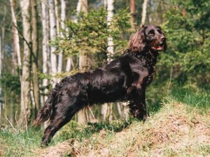 Lady vom Hopfenhof 90-183