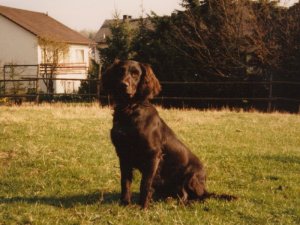 Kimme vom Hopfenhof 88-496