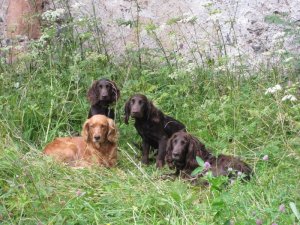 2012 Carmina, Yaska, Ximena, Uleika
