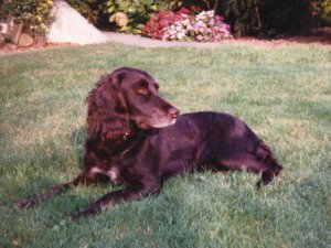 Jessica vom Hopfenhof 87-452