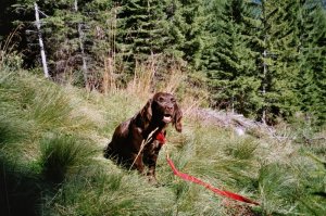 Kathi von der Köhlerhütte 03-708