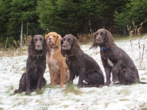 2016 Yaska, Wendy, Zeder, Zita