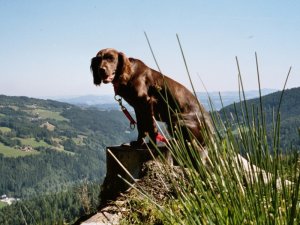 Kathi von der Köhlerhütte 03-708