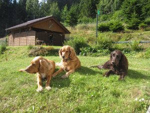 2013 Wendy, Carmina, Yaska