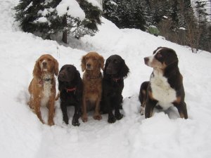 2013 Wendy, Ximena, Carmina, Yaska, Klemens