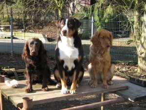 2007 Uleika, Klemens, Carmina